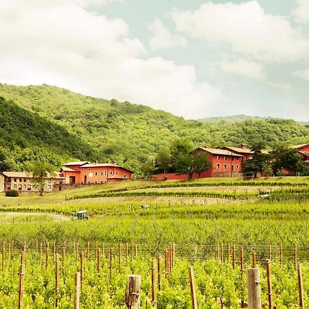 Agriturismo L'Uva E Le Stelle Faedis Екстер'єр фото