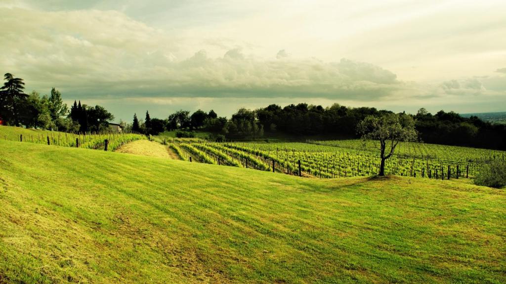 Agriturismo L'Uva E Le Stelle Faedis Екстер'єр фото