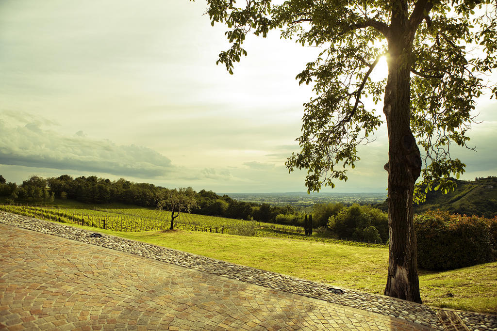 Agriturismo L'Uva E Le Stelle Faedis Екстер'єр фото