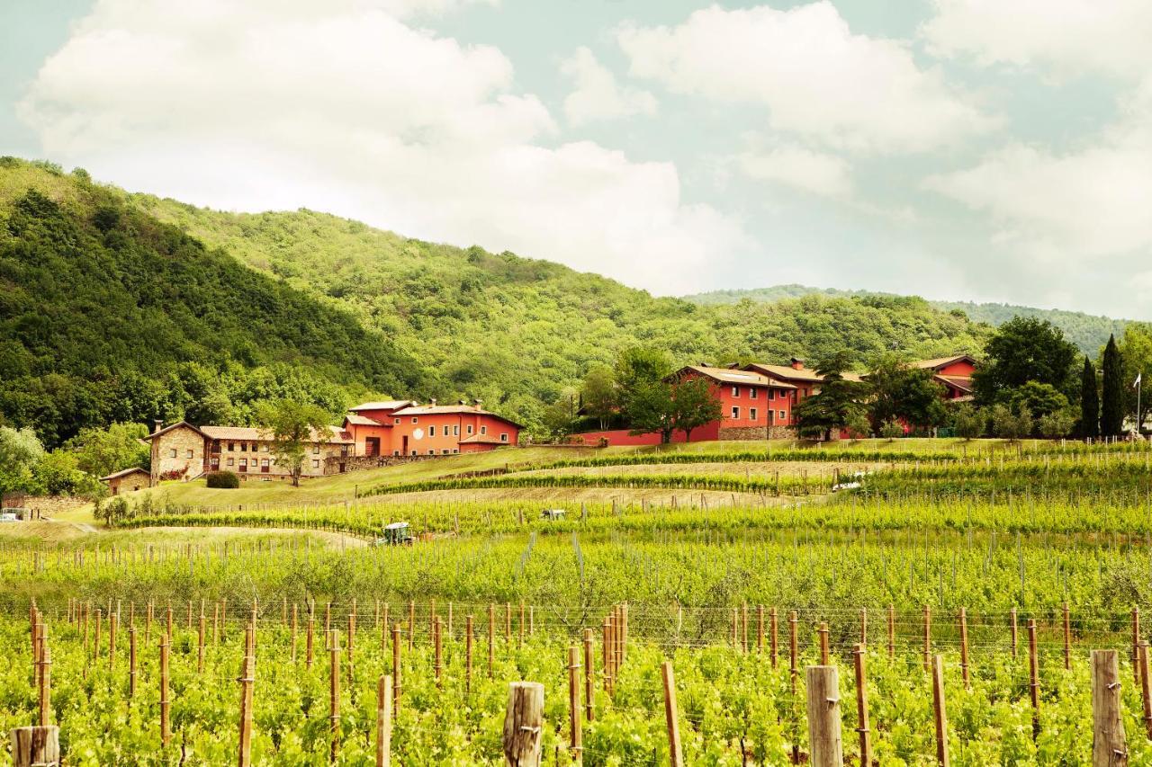 Agriturismo L'Uva E Le Stelle Faedis Екстер'єр фото